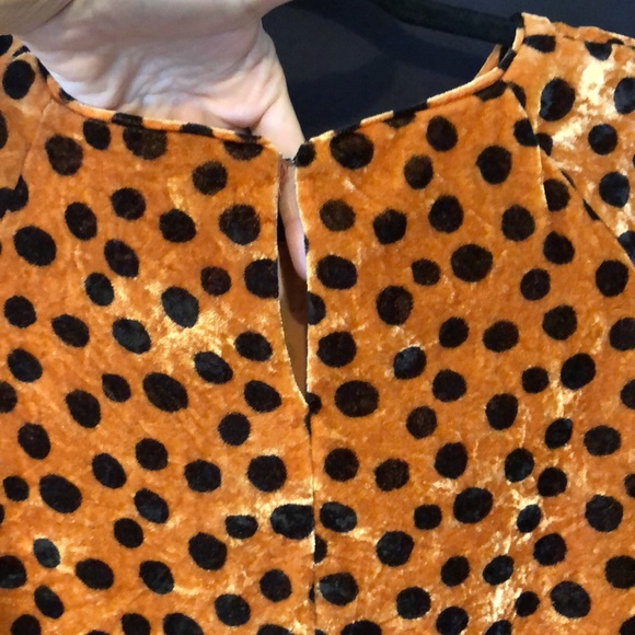 Cute! Madewell Velvet Top. EUC Rust w/ Black Polkadots. Ruffled Open Sleeves. M - Picture 8 of 13